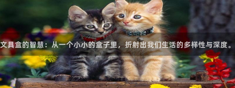 龙八国际官网入口：文具盒的智慧：从一个小