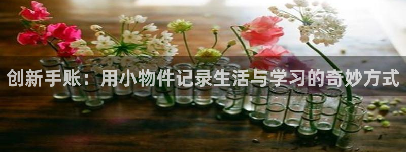 龙八国际相仿平台：创新手账：用小物件记录