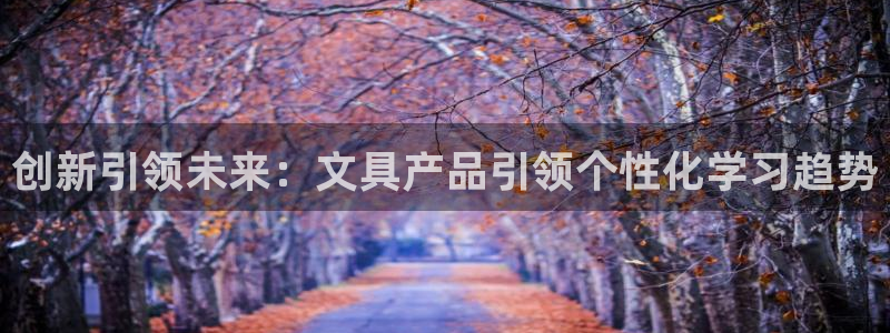 龙八国际p：创新引领未来：文具产品引领个