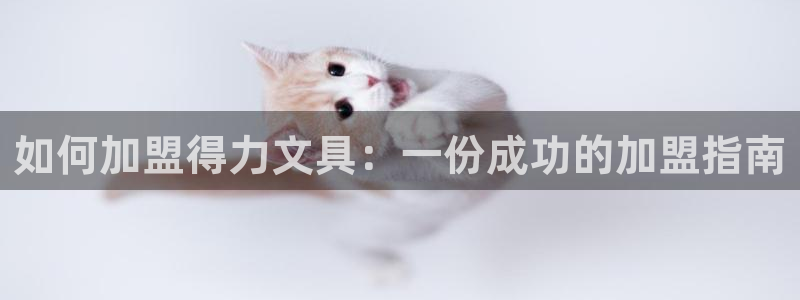 龙八国际官网app下载：如何加盟得力文具