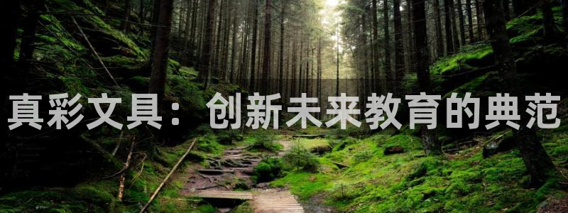 正规龙八国际：真彩文具：创新未来教育的典