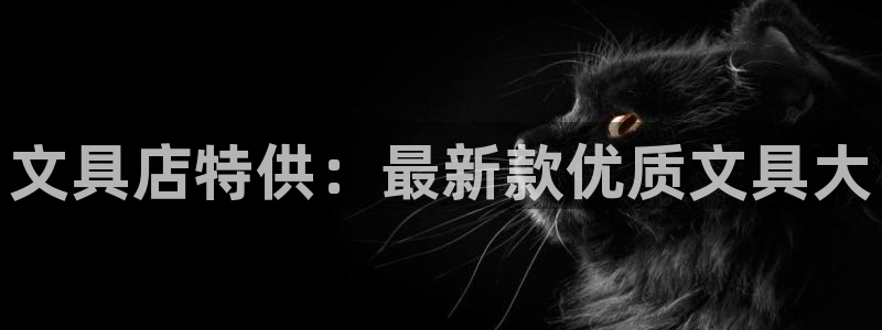 龙八国际是缅甸的吗：文具店特供：最新款优