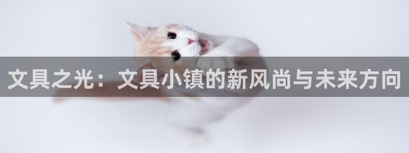 龙八国际客户端下载官网：文具之光：文具小