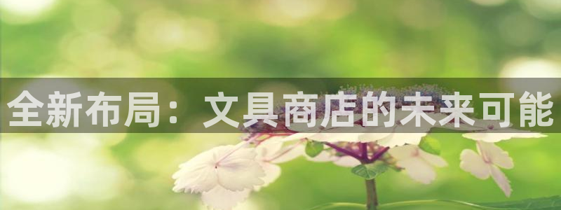 官网龙八国际：全新布局：文具商店的未来可