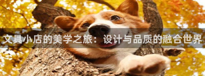 龙八国际下载：文具小店的美学之旅：设计与