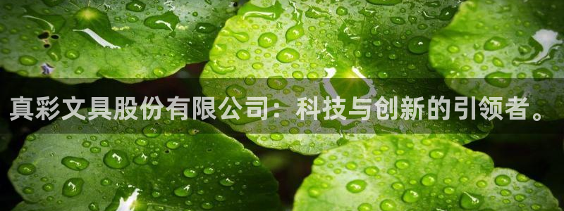 龙八国际网页版本：真彩文具股份有限公司：