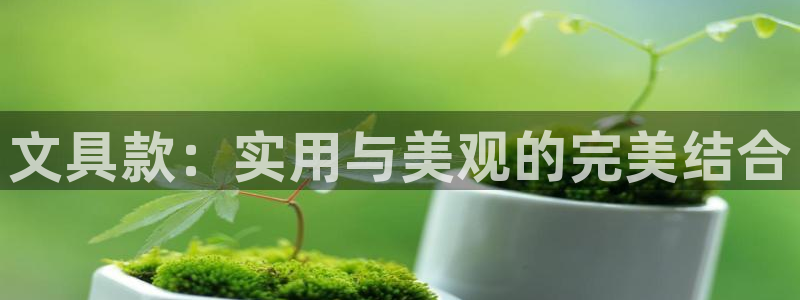 龙八国际官网安卓：文具款：实用与美观的完