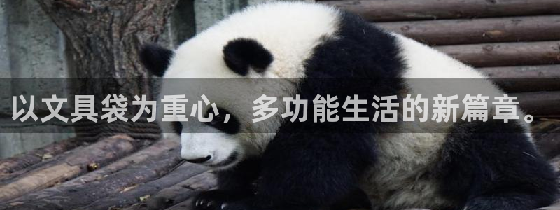 龙八国际app：以文具袋为重心，多功能生