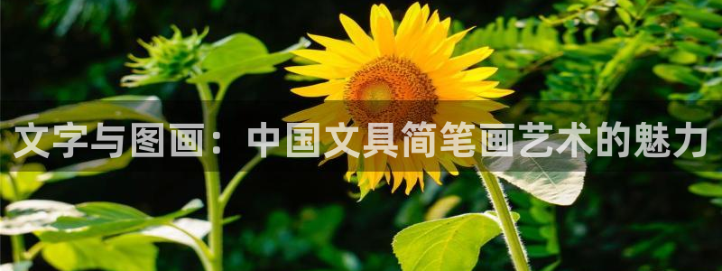 龙八国际app电话号码：文字与图画：中国