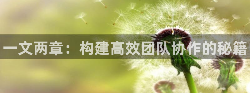龙八国际登录入口：一文两章：构建高效团队