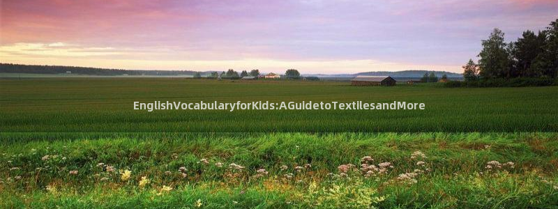 龙八国际手机登录：EnglishVoca