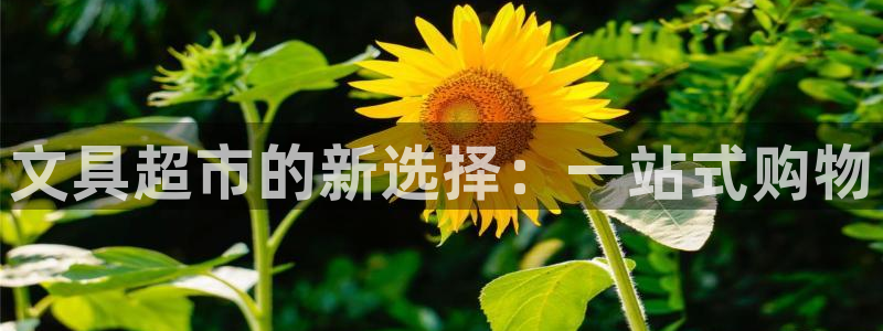 龙八国际官网登录：文具超市的新选择：一站