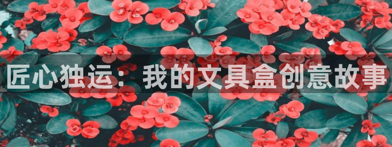 龙八国际入口：匠心独运：我的文具盒创意故