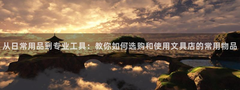 龙八国际集团：从日常用品到专业工具：教你