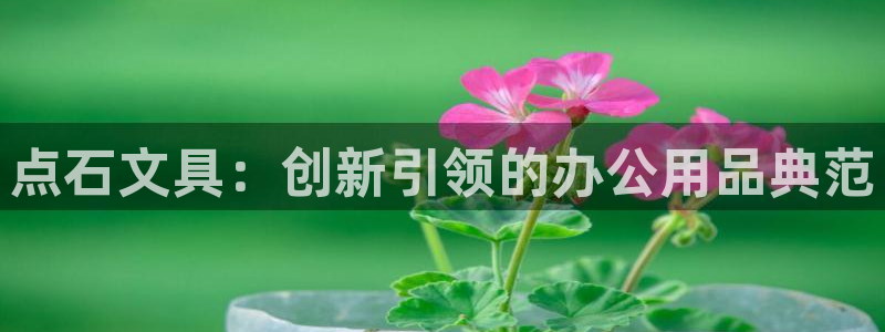 龙八国际视频入口：点石文具：创新引领的办