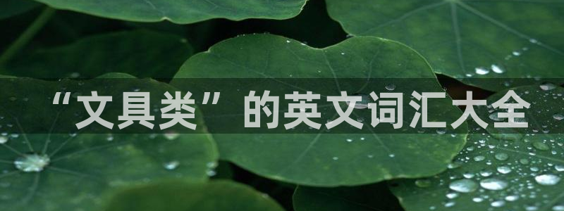 龙八国际代理登陆：“文具类”的英文词汇大