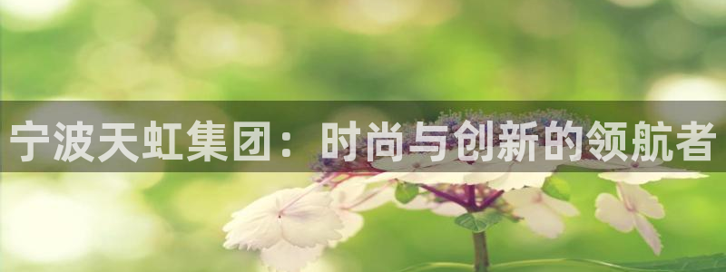 龙八国际头号玩家是谁啊：宁波天虹集团：时