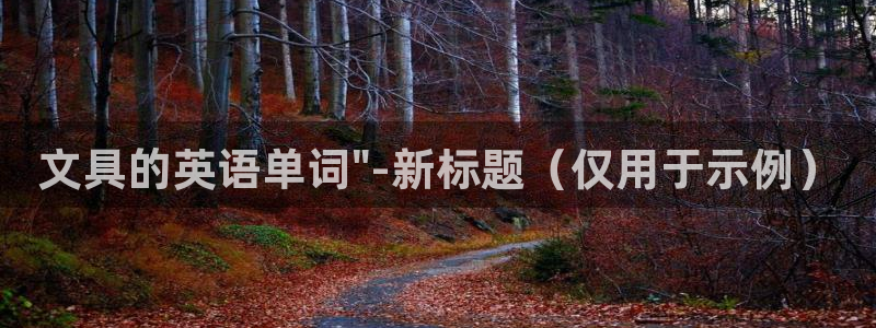 龙八国际娱乐老板是谁：文具的英语单词\