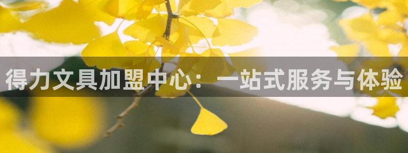 龙八国际老虎：得力文具加盟中心：一站式服