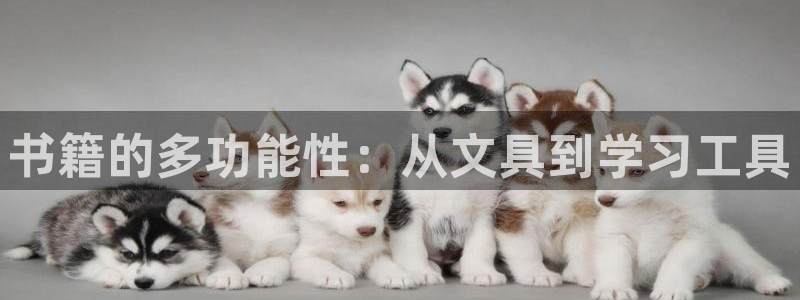 龙八国际娱乐中心：书籍的多功能性：从文具