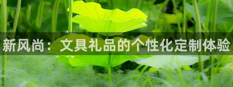 龙八国际娱乐登录：新风尚：文具礼品的个性