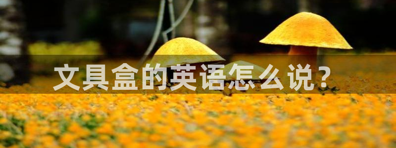 龙八国际服官网进入：文具盒的英语怎么说？