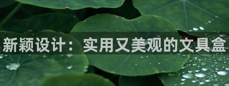 龙八国际官方网址：新颖设计：实用又美观的