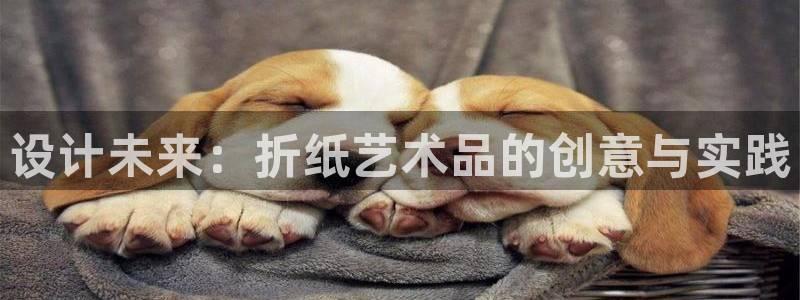 正规龙八国际娱乐：设计未来：折纸艺术品的