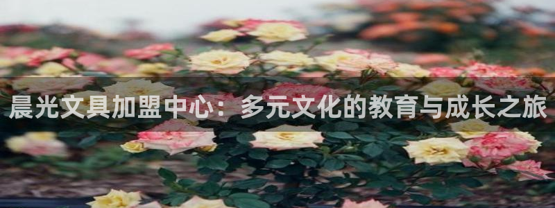 龙八国际靠谱吗：晨光文具加盟中心：多元文