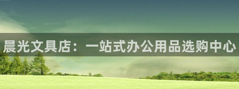 龙八国际服：晨光文具店：一站式办公用品选