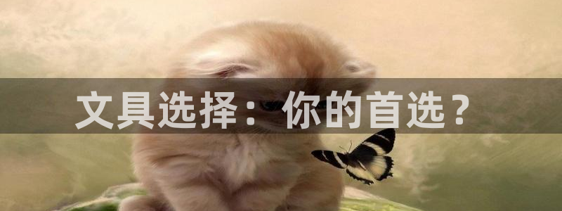 龙八国际在线：文具选择：你的首选？