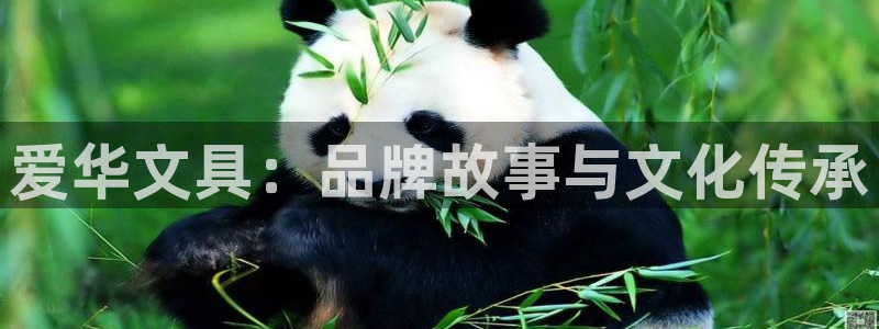 龙八国际打开页面：爱华文具：品牌故事与文