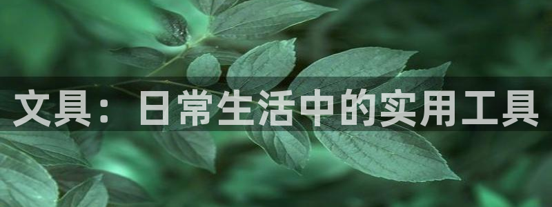 下载龙八国际手机版安装：文具：日常生活中