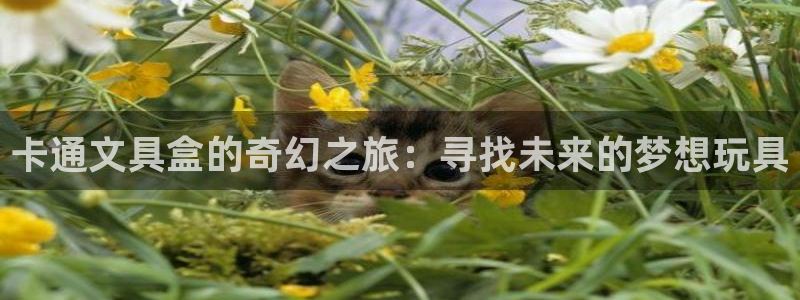 龙八国际娱乐登录：卡通文具盒的奇幻之旅：