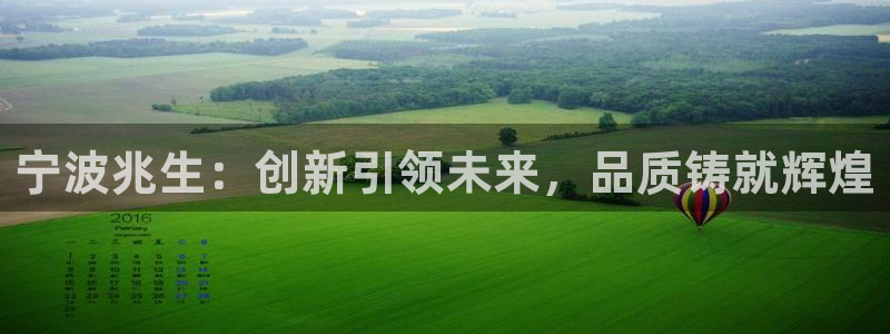 龙八国际唯一官网：宁波兆生：创新引领未来