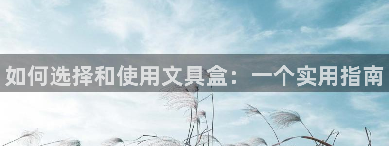 龙八国际怎么注册手机端：如何选择和使用文