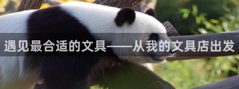 龙八国际版游戏：遇见最合适的文具——从我