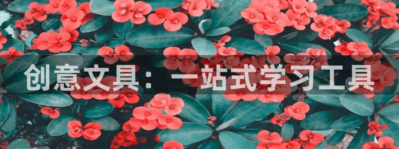 手机版龙八国际：创意文具：一站式学习工具