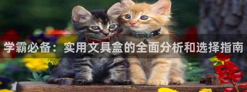 龙八国际可靠：学霸必备：实用文具盒的全面