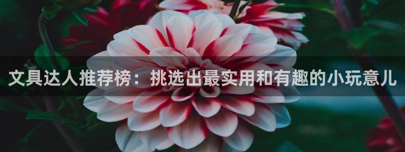 龙八国际手机客户端下载：文具达人推荐榜：