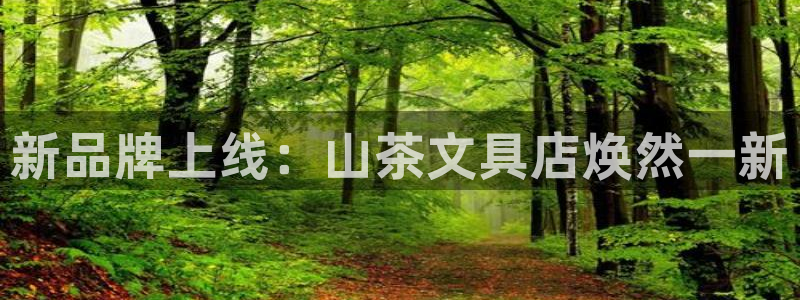 龙八国际优惠券有什么用：新品牌上线：山茶