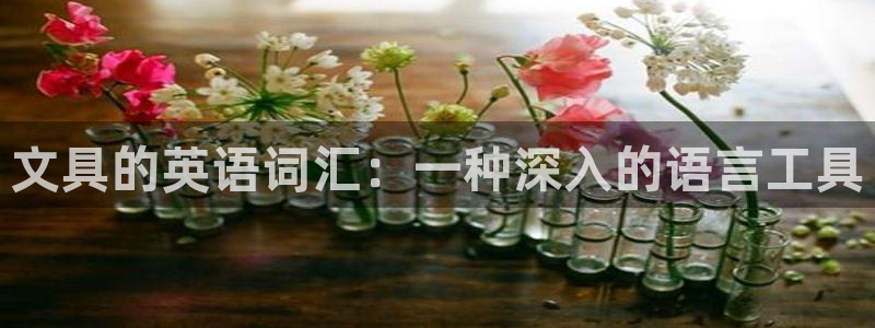 龙八国际官网网站：文具的英语词汇：一种深