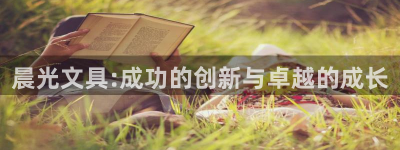 龙八龙八国际：晨光文具:成功的创新与卓越