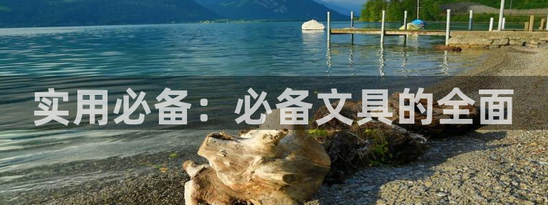 龙八国际电脑版下载：实用必备：必备文具的