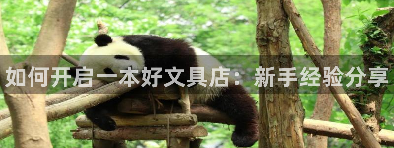 龙八国际网页：如何开启一本好文具店：新手