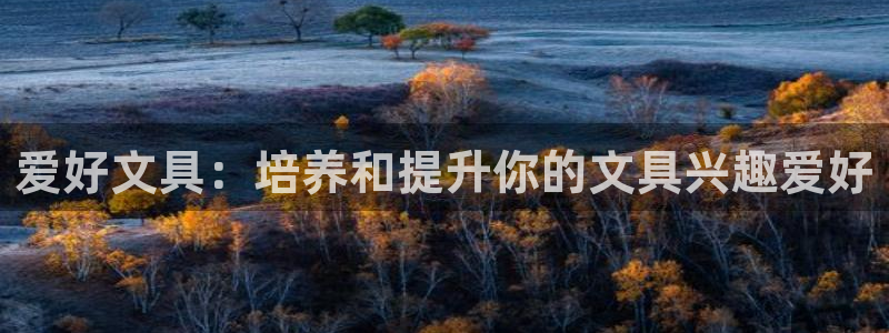 龙八国际app手机版下载安卓：爱好文具：