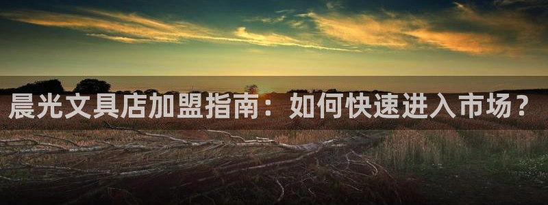 龙八国际棋牌：晨光文具店加盟指南：如何快