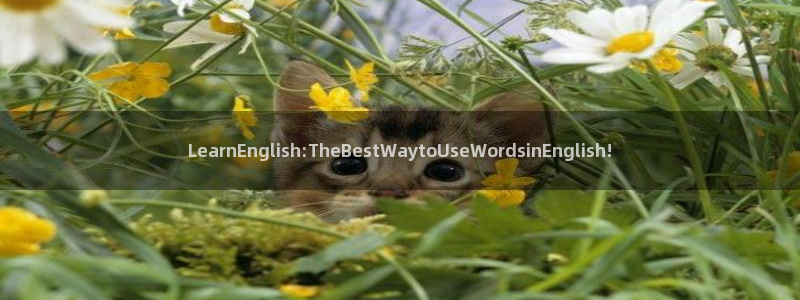 龙八国际怎么注册安卓：LearnEngl