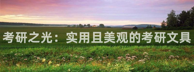 龙八国际服官网入口地址：考研之光：实用且