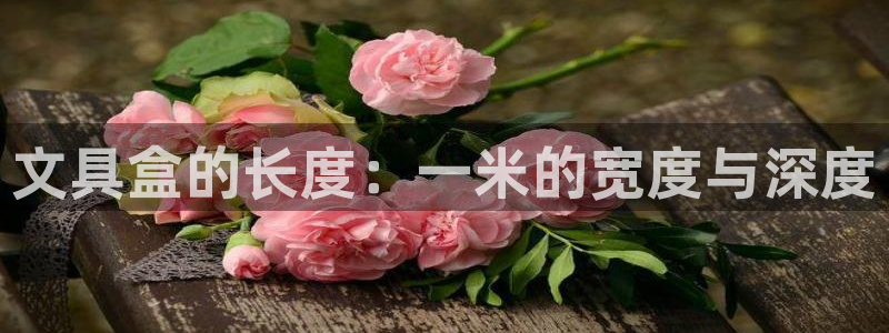 龙八国际服：文具盒的长度：一米的宽度与深